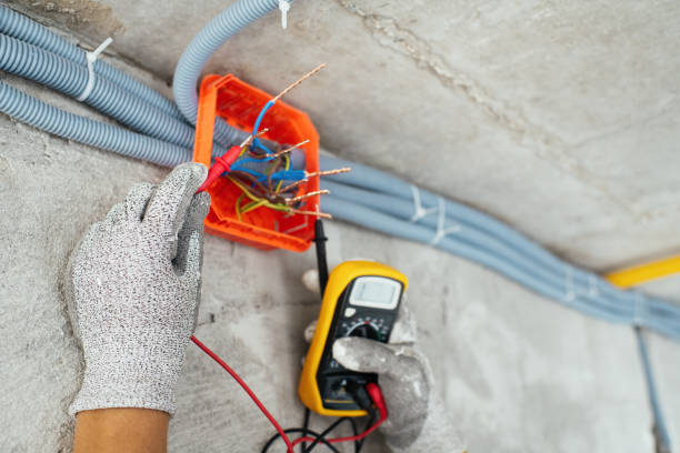 Best Electrical System Inspection  in Vineyards, FL